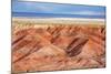 Painted Desert, Petrified Forest National Park, Arizona, USA-Jamie & Judy Wild-Mounted Photographic Print
