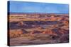 Painted Desert, Petrified Forest National Park, Arizona, USA-Jamie & Judy Wild-Stretched Canvas