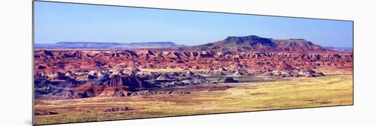 Painted Desert View-Douglas Taylor-Mounted Premium Giclee Print