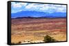 Painted Desert Yellow Grass Lands Orange Sandstone La Salle Mountains Arches National Park Moab Uta-BILLPERRY-Framed Stretched Canvas