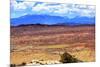 Painted Desert Yellow Grass Lands Orange Sandstone La Salle Mountains Arches National Park Moab Uta-BILLPERRY-Mounted Photographic Print