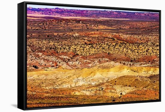 Painted Desert Yellow Grass Lands Orange Sandstone Red Fiery Furnace Arches National Park Moab Utah-BILLPERRY-Framed Stretched Canvas