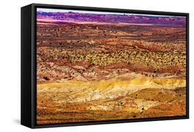 Painted Desert Yellow Grass Lands Orange Sandstone Red Fiery Furnace Arches National Park Moab Utah-BILLPERRY-Framed Stretched Canvas