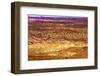 Painted Desert Yellow Grass Lands Orange Sandstone Red Fiery Furnace Arches National Park Moab Utah-BILLPERRY-Framed Photographic Print