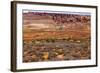 Painted Desert Yellow Grass Lands Orange Sandstone Red Fiery Furnace Arches National Park Moab Utah-BILLPERRY-Framed Photographic Print