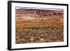 Painted Desert Yellow Grass Lands Orange Sandstone Red Fiery Furnace Arches National Park Moab Utah-BILLPERRY-Framed Photographic Print