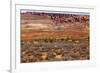 Painted Desert Yellow Grass Lands Orange Sandstone Red Fiery Furnace Arches National Park Moab Utah-BILLPERRY-Framed Photographic Print