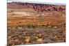 Painted Desert Yellow Grass Lands Orange Sandstone Red Fiery Furnace Arches National Park Moab Utah-BILLPERRY-Mounted Photographic Print