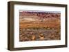 Painted Desert Yellow Grass Lands Orange Sandstone Red Fiery Furnace Arches National Park Moab Utah-BILLPERRY-Framed Photographic Print