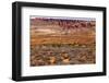 Painted Desert Yellow Grass Lands Orange Sandstone Red Fiery Furnace Arches National Park Moab Utah-BILLPERRY-Framed Photographic Print