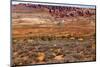 Painted Desert Yellow Grass Lands Orange Sandstone Red Fiery Furnace Arches National Park Moab Utah-BILLPERRY-Mounted Photographic Print