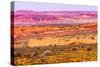 Painted Desert Yellow Grass Lands Orange Sandstone Red Moab Fault Arches National Park Moab Utah-BILLPERRY-Stretched Canvas