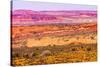 Painted Desert Yellow Grass Lands Orange Sandstone Red Moab Fault Arches National Park Moab Utah-BILLPERRY-Stretched Canvas