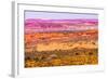 Painted Desert Yellow Grass Lands Orange Sandstone Red Moab Fault Arches National Park Moab Utah-BILLPERRY-Framed Photographic Print