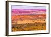 Painted Desert Yellow Grass Lands Orange Sandstone Red Moab Fault Arches National Park Moab Utah-BILLPERRY-Framed Photographic Print