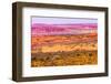 Painted Desert Yellow Grass Lands Orange Sandstone Red Moab Fault Arches National Park Moab Utah-BILLPERRY-Framed Photographic Print