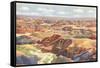 Painted Desert-null-Framed Stretched Canvas