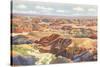 Painted Desert-null-Stretched Canvas