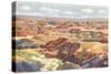 Painted Desert-null-Stretched Canvas