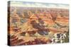 Painted Desert-null-Stretched Canvas