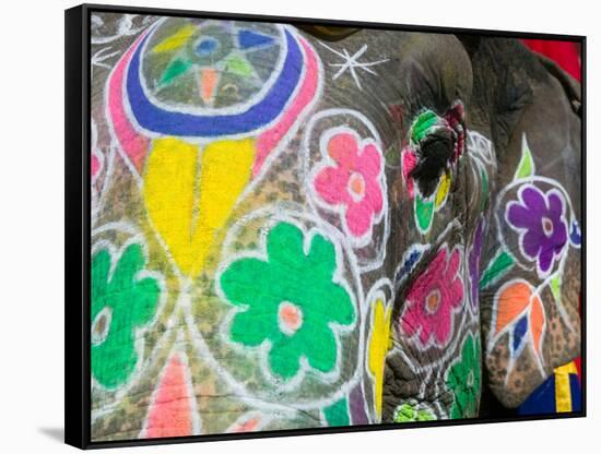 Painted Elephant, Amber Fort, India-Walter Bibikow-Framed Stretched Canvas