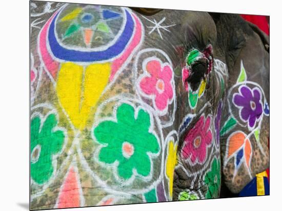 Painted Elephant, Amber Fort, India-Walter Bibikow-Mounted Photographic Print