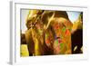 Painted Elephant, Amer Fort, Jaipur, India, Asia-Laura Grier-Framed Photographic Print