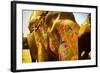 Painted Elephant, Amer Fort, Jaipur, India, Asia-Laura Grier-Framed Photographic Print