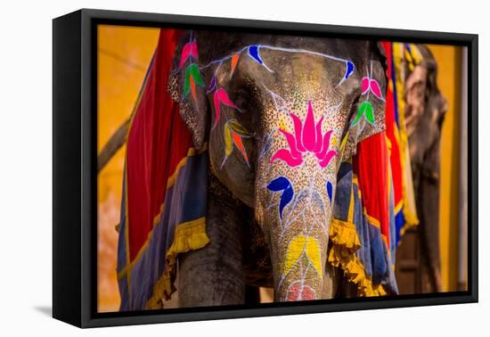 Painted Elephant, Amer Fort, Jaipur, Rajasthan, India, Asia-Laura Grier-Framed Stretched Canvas