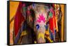 Painted Elephant, Amer Fort, Jaipur, Rajasthan, India, Asia-Laura Grier-Framed Stretched Canvas