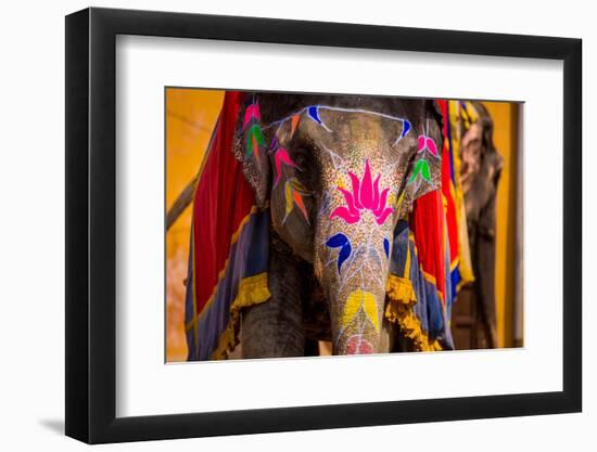Painted Elephant, Amer Fort, Jaipur, Rajasthan, India, Asia-Laura Grier-Framed Premium Photographic Print