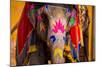 Painted Elephant, Amer Fort, Jaipur, Rajasthan, India, Asia-Laura Grier-Mounted Photographic Print