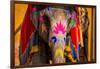 Painted Elephant, Amer Fort, Jaipur, Rajasthan, India, Asia-Laura Grier-Framed Premium Photographic Print