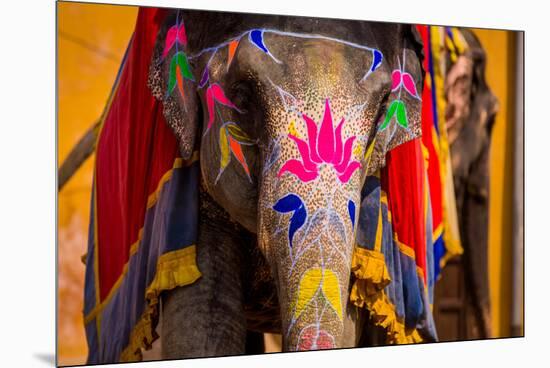 Painted Elephant, Amer Fort, Jaipur, Rajasthan, India, Asia-Laura Grier-Mounted Premium Photographic Print