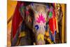 Painted Elephant, Amer Fort, Jaipur, Rajasthan, India, Asia-Laura Grier-Mounted Premium Photographic Print