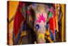 Painted Elephant, Amer Fort, Jaipur, Rajasthan, India, Asia-Laura Grier-Stretched Canvas