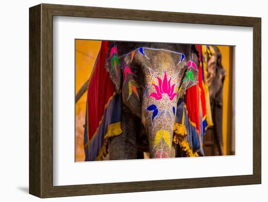 Painted Elephant, Amer Fort, Jaipur, Rajasthan, India, Asia-Laura Grier-Framed Photographic Print