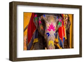 Painted Elephant, Amer Fort, Jaipur, Rajasthan, India, Asia-Laura Grier-Framed Photographic Print