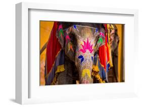 Painted Elephant, Amer Fort, Jaipur, Rajasthan, India, Asia-Laura Grier-Framed Photographic Print