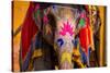 Painted Elephant, Amer Fort, Jaipur, Rajasthan, India, Asia-Laura Grier-Stretched Canvas