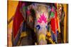 Painted Elephant, Amer Fort, Jaipur, Rajasthan, India, Asia-Laura Grier-Stretched Canvas