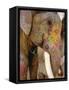 Painted Elephant, Close up of Head, Jaipur, Rajasthan, India-Bruno Morandi-Framed Stretched Canvas