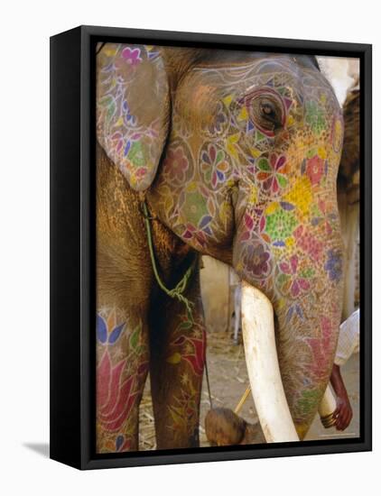 Painted Elephant, Close up of Head, Jaipur, Rajasthan, India-Bruno Morandi-Framed Stretched Canvas
