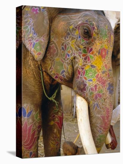 Painted Elephant, Close up of Head, Jaipur, Rajasthan, India-Bruno Morandi-Stretched Canvas