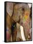 Painted Elephant, Close up of Head, Jaipur, Rajasthan, India-Bruno Morandi-Framed Stretched Canvas