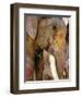 Painted Elephant, Close up of Head, Jaipur, Rajasthan, India-Bruno Morandi-Framed Premium Photographic Print