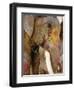 Painted Elephant, Close up of Head, Jaipur, Rajasthan, India-Bruno Morandi-Framed Premium Photographic Print