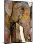 Painted Elephant, Close up of Head, Jaipur, Rajasthan, India-Bruno Morandi-Mounted Photographic Print