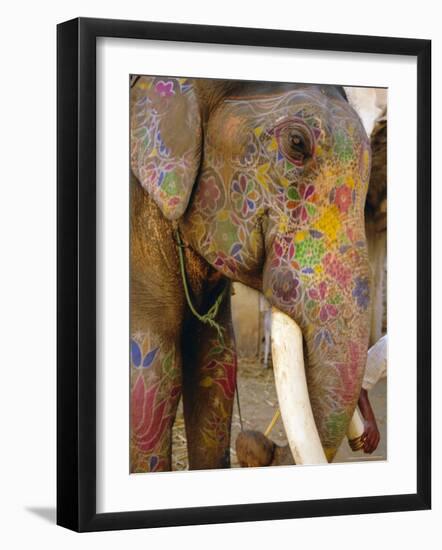 Painted Elephant, Close up of Head, Jaipur, Rajasthan, India-Bruno Morandi-Framed Photographic Print