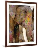 Painted Elephant, Close up of Head, Jaipur, Rajasthan, India-Bruno Morandi-Framed Photographic Print